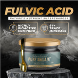 Himalayan Pure Shilajit